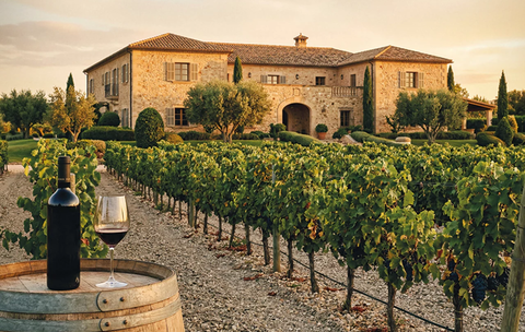 VIAJE ALREDEDOR DEL VINO